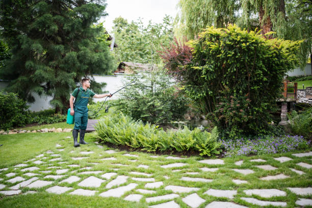 Professional Pest Control in Westville, IN