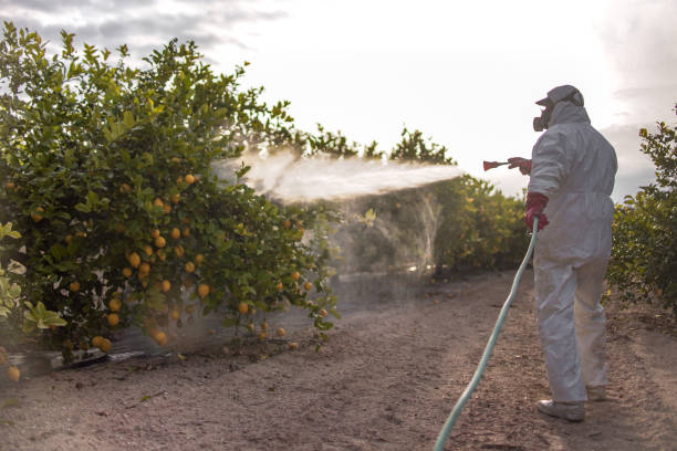 Best Pest Removal Services  in Westville, IN
