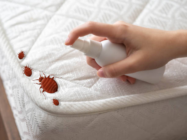Best Flea Control Services  in Westville, IN