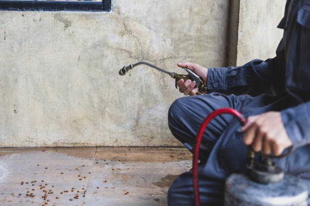Best Pest Control Cost  in Westville, IN